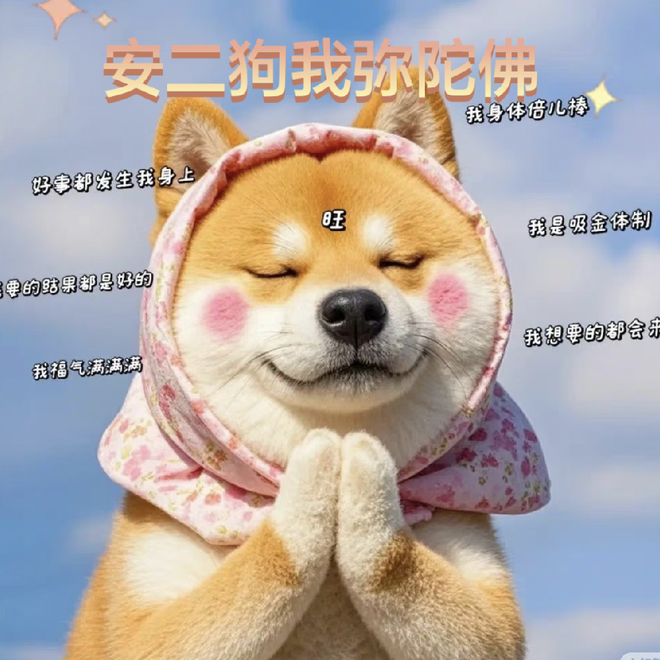 🍒阁下何不乘风起海报
