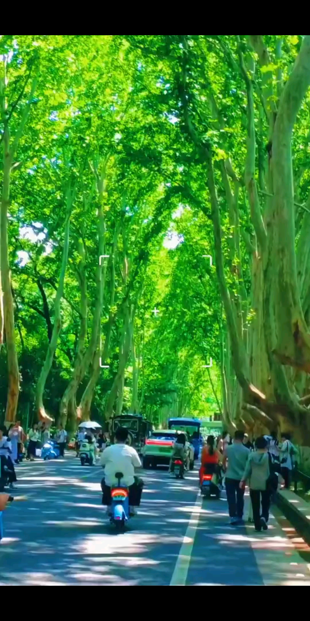 这个夏天🌞我们在/靓
