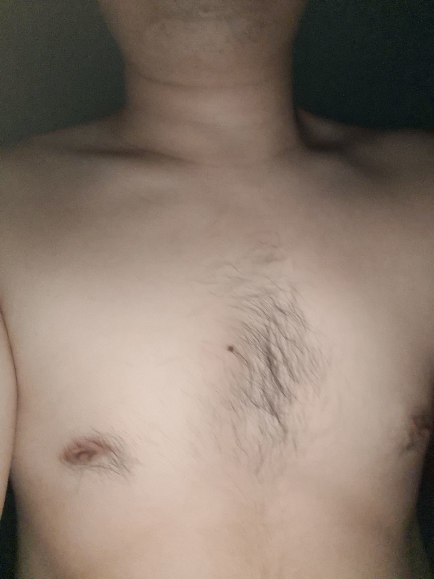 熊dw的图片
