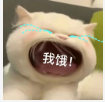 🎶柒歌休息的图片