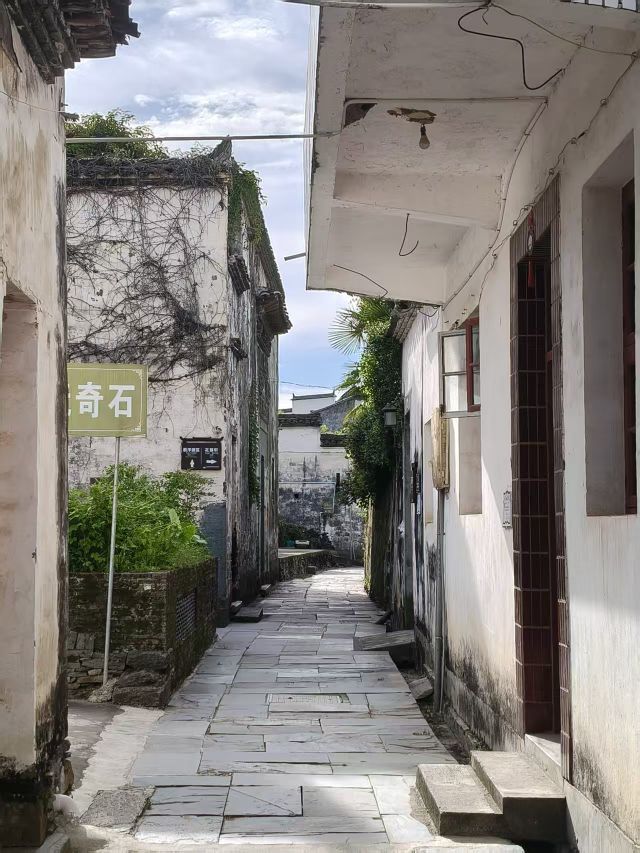婷婷💕求过月底任务的图片