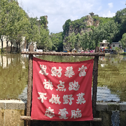 踏入童年的头像