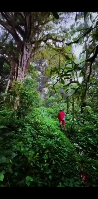 观看150次