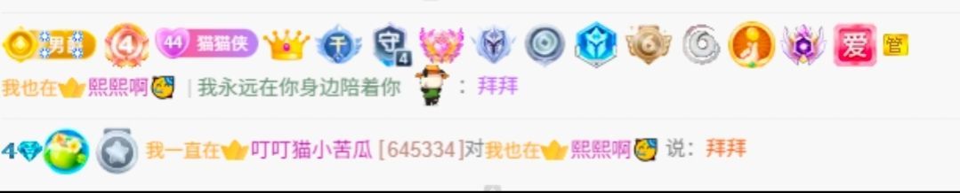 叮叮猫小苦瓜主播图片