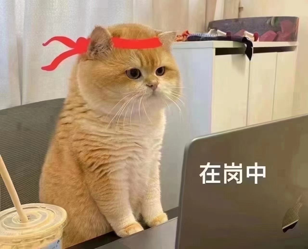 642298的图片