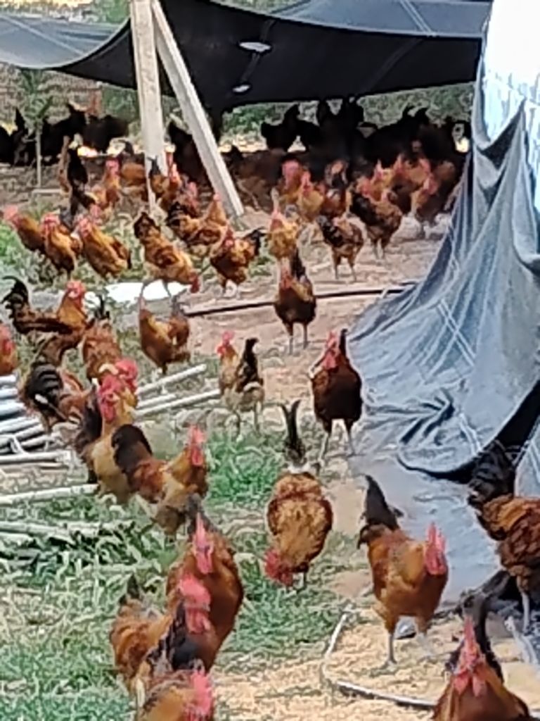 小孩求抱抱的图片