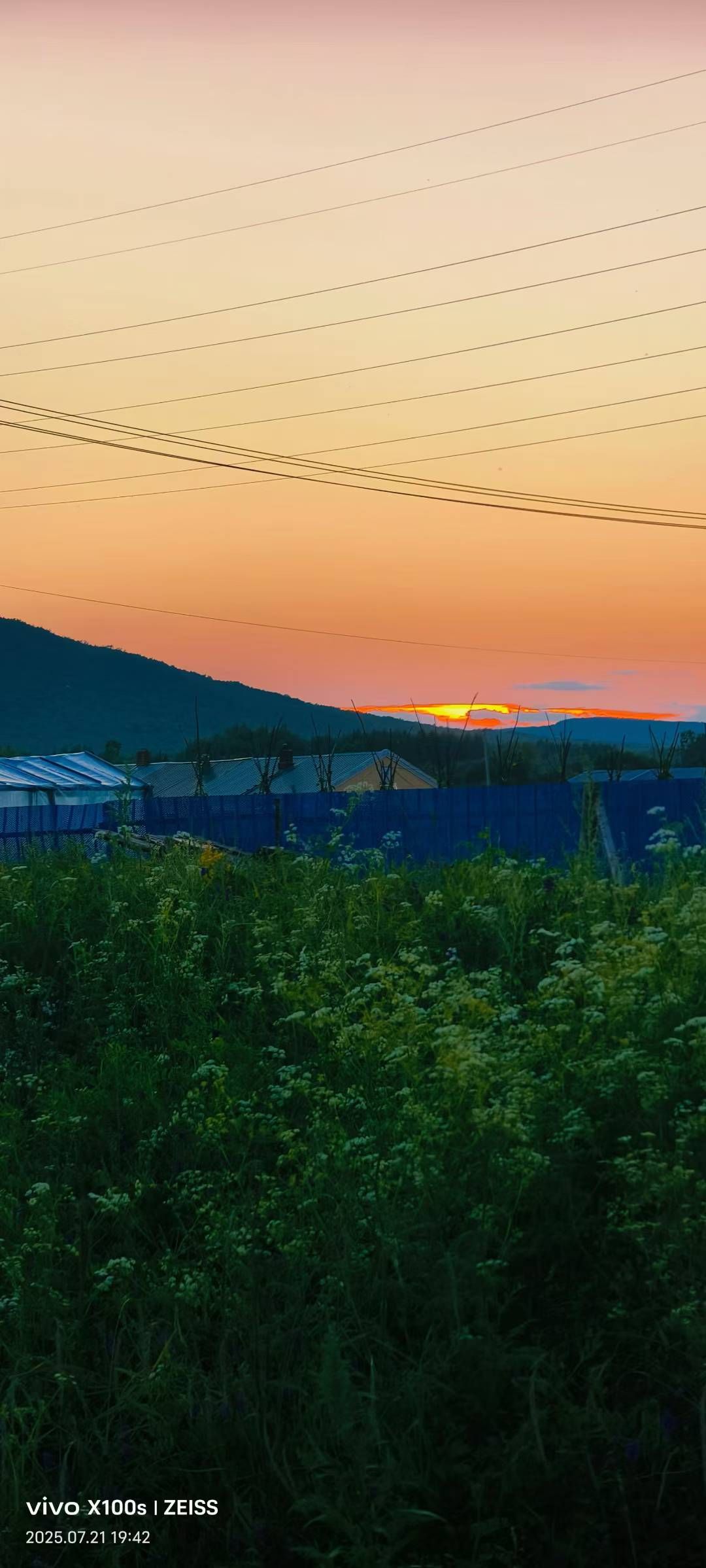 妞妞骑行宁夏银川的图片