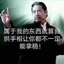 龙啸九天0n