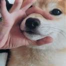 热血江湖60