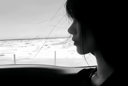 阿黎🦄.海报
