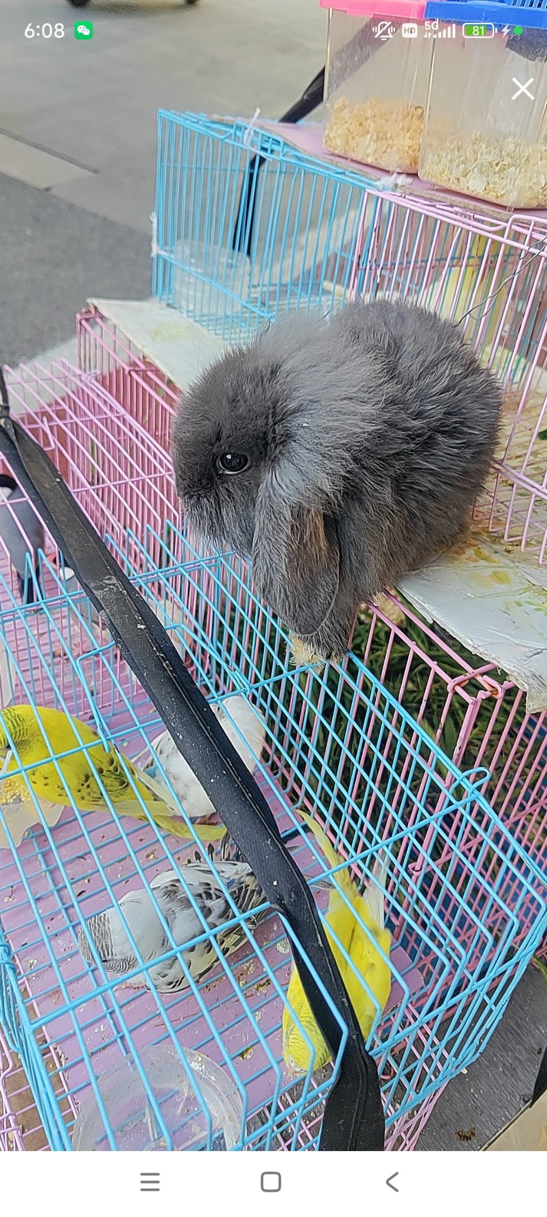 婷婷💕感恩有你陪伴的图片