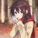 调皮的小野猫。