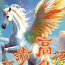 宝哥07的头像