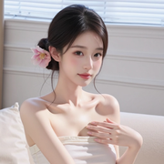 萌新安然呀