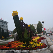 成功8397