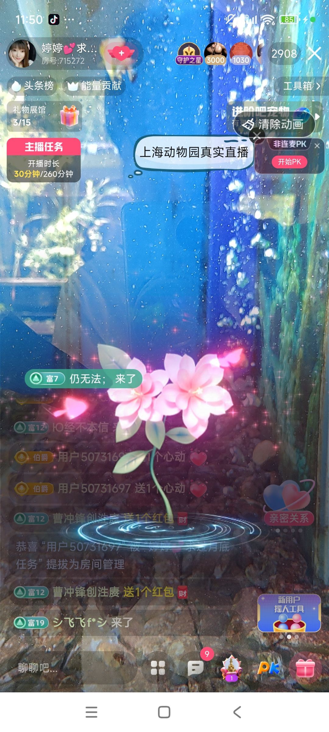 婷婷💕感恩有你陪伴的图片