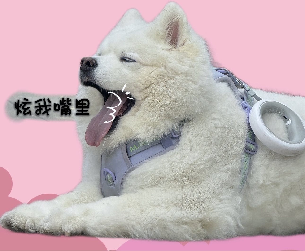 安好🎤求心软的神的主播照片