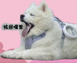 安好🎤等光来主播照片