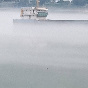 现任老肱，海报