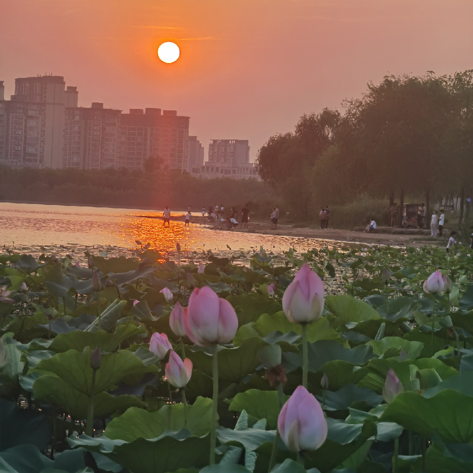 小六子👺海报