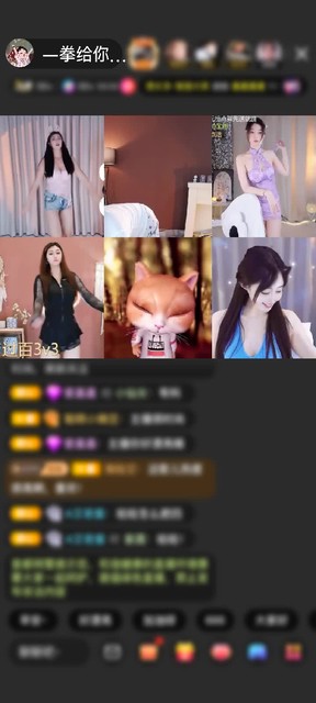 感谢zhu13057赠送天空游乐园1个
