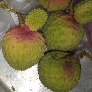 门前掛支箭背后弄一剑的头像