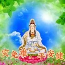 重阳t