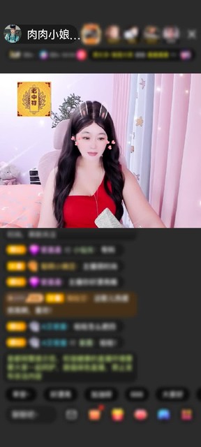 感谢神秘人赠送凤鸣九霄1个