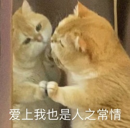 姜早（努力版）主播照片