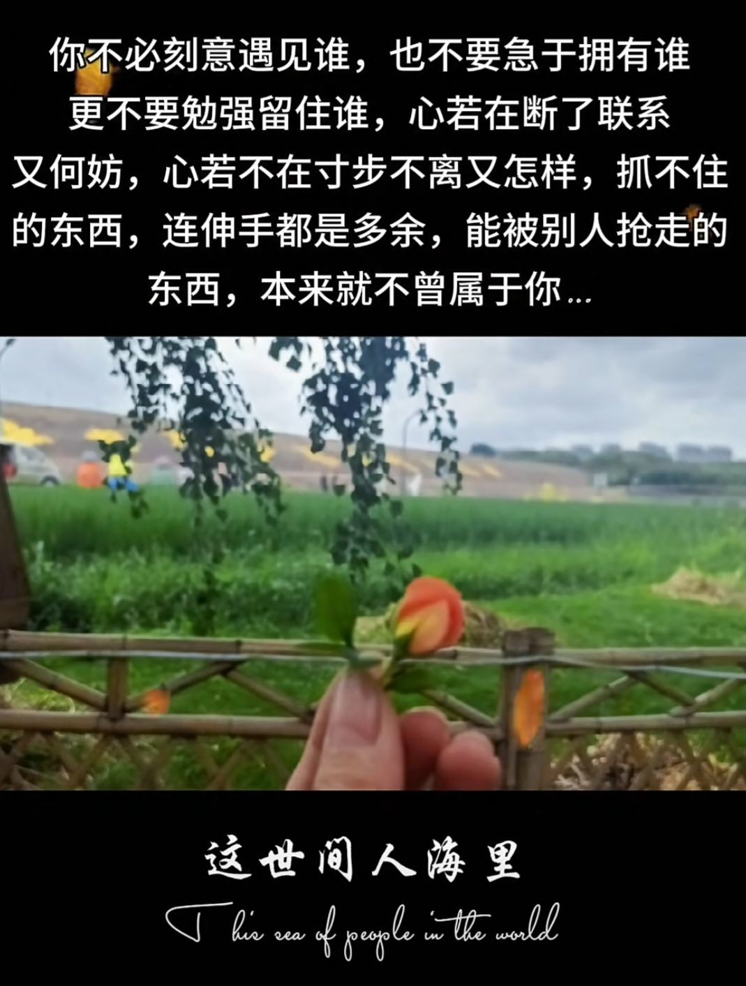 安然下午三点的主播照片