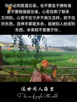 安然下午三点主播照片