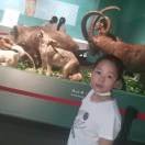 陈再时