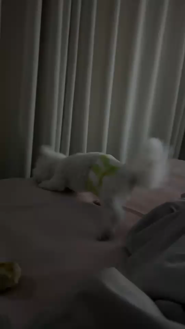 追剧爽，大家跑骚跑的