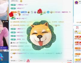 养只鹿的图片