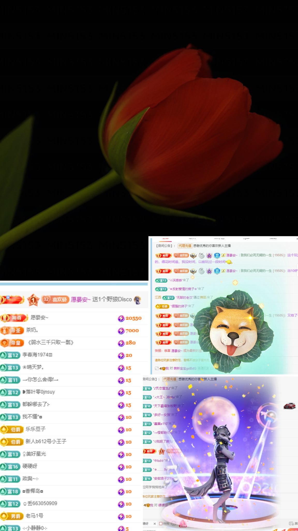 晏晏~的主播照片