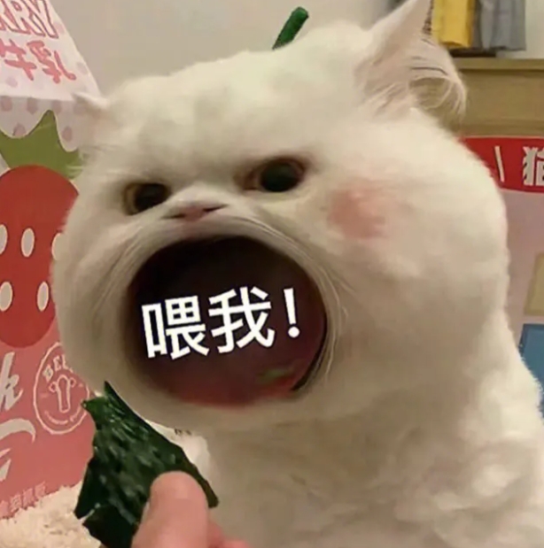 叶漫漫~勇往直前！的图片