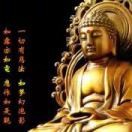 1adgijlntv的头像