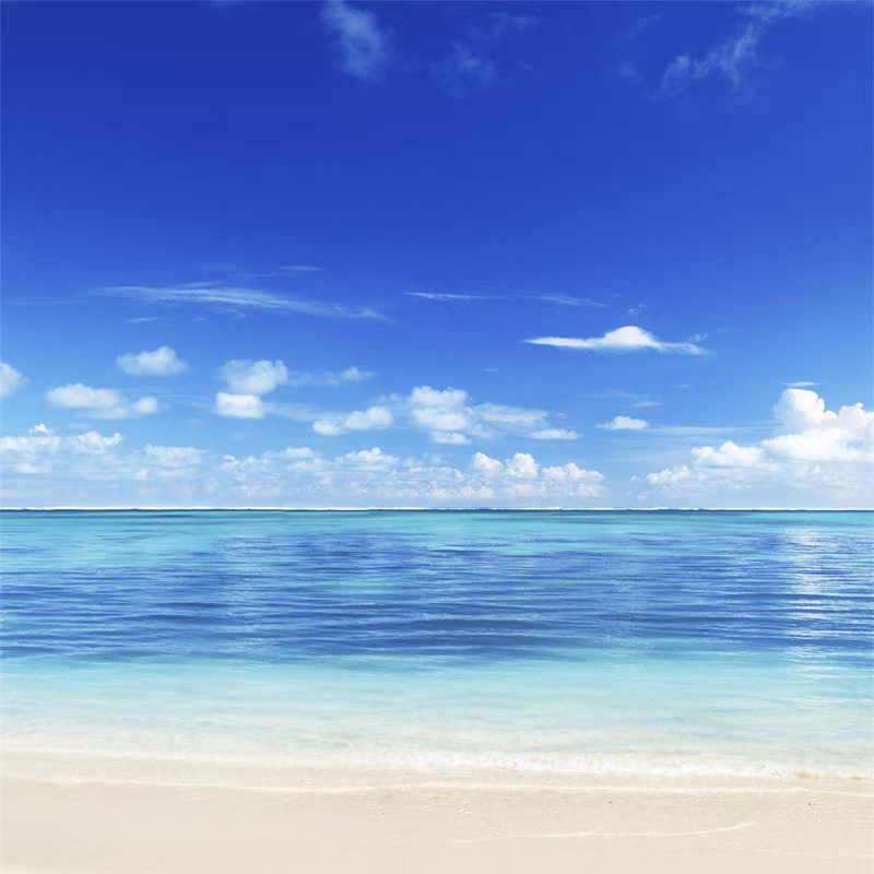 孔雀鱼☣海报