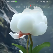 雪~莲^0^花
