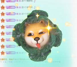 小白队长💧心里美☜主播照片