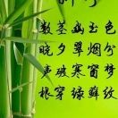顺其自然mle