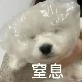 海苔*求百元榜呀主播照片