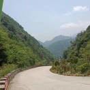炳9x的頭像