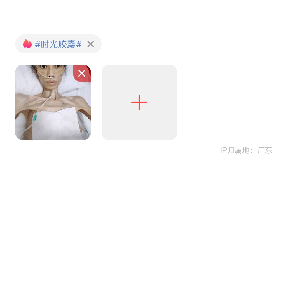 无邪红树林树雀✦海报
