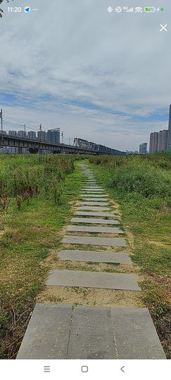 婷婷💕感恩有你陪伴主播照片