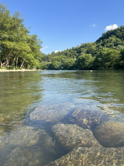 大馋丫头海报