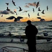 是是是三生三世海报