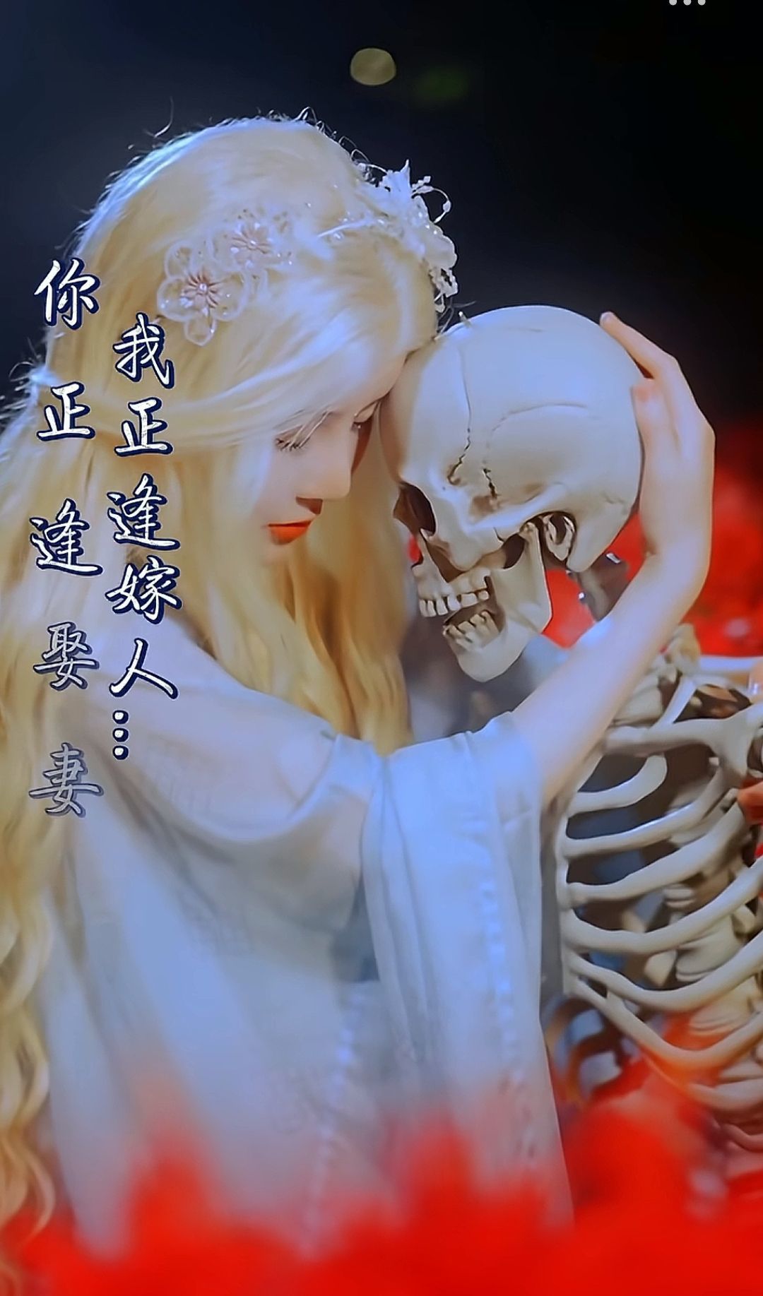 🦚没人在乎的雪儿的图片
