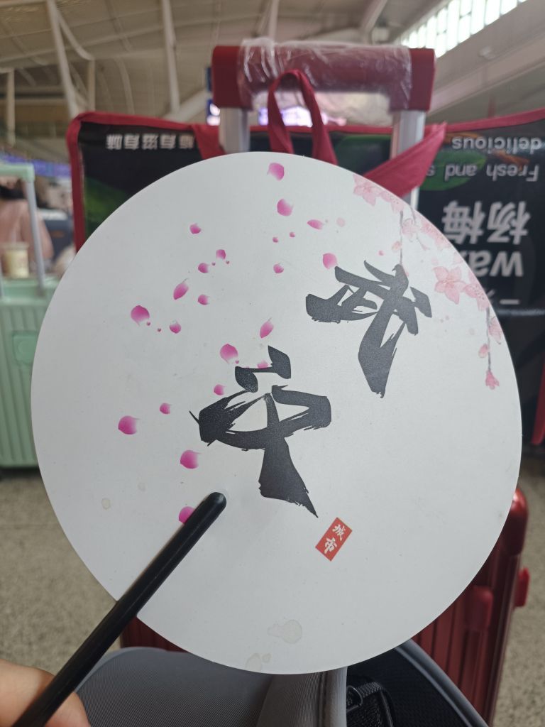 茶茶幸运星主播图片