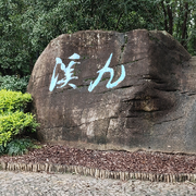 貍貓局部地區(qū)腫脹的頭像